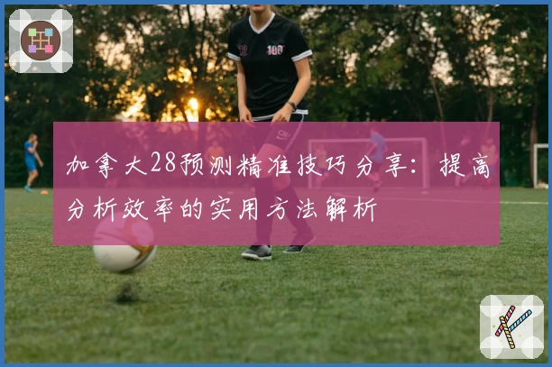 加拿大28预测精准技巧分享：提高分析效率的实用方法解析