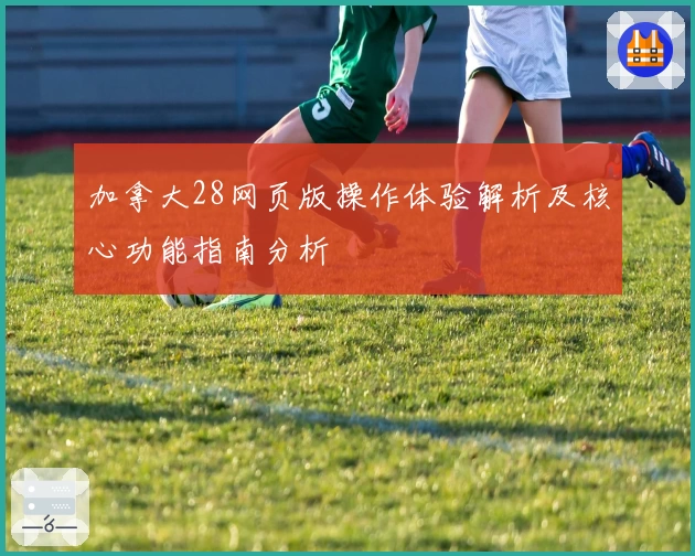 加拿大28网页版操作体验解析及核心功能指南分析