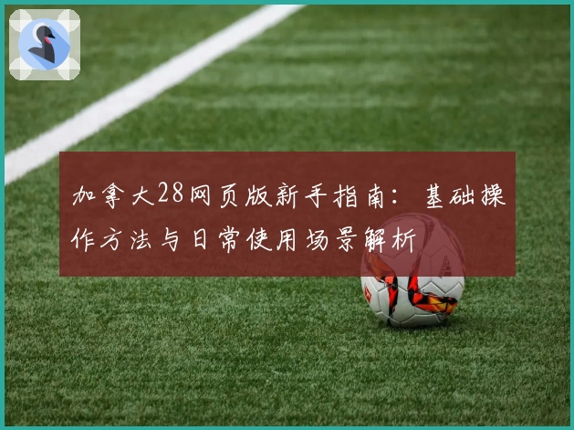 加拿大28网页版新手指南：基础操作方法与日常使用场景解析