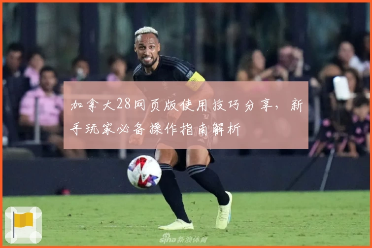 加拿大28网页版使用技巧分享，新手玩家必备操作指南解析
