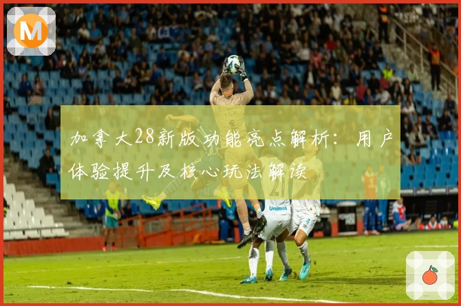 加拿大28新版功能亮点解析：用户体验提升及核心玩法解读