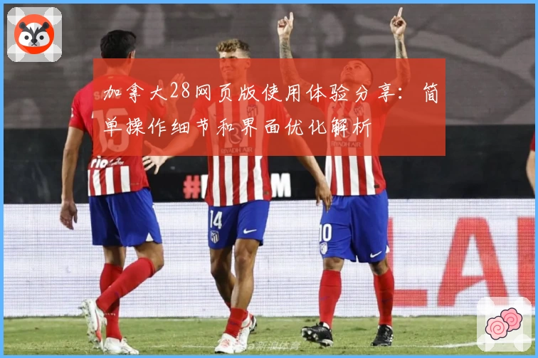 加拿大28网页版使用体验分享：简单操作细节和界面优化解析