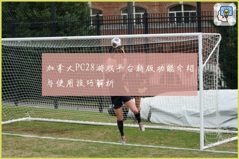 加拿大PC28游戏平台新版功能介绍与使用技巧解析