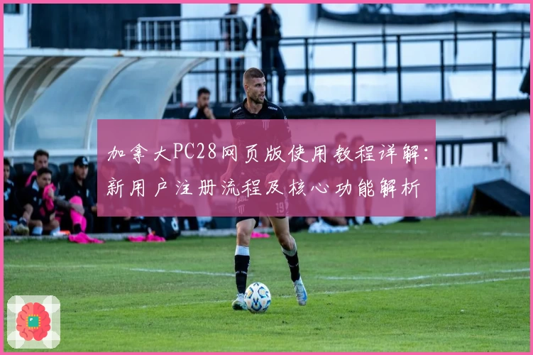 加拿大PC28网页版使用教程详解：新用户注册流程及核心功能解析