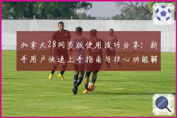 加拿大28网页版使用技巧分享：新手用户快速上手指南与核心功能解析