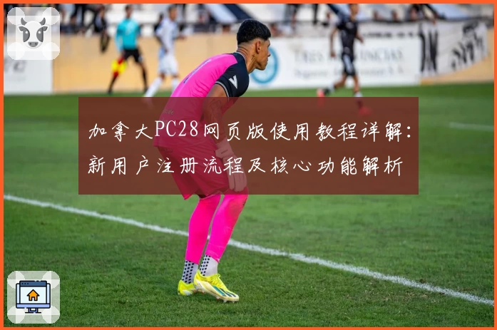 加拿大PC28网页版使用教程详解：新用户注册流程及核心功能解析