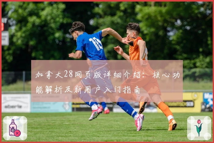 加拿大28网页版详细介绍：核心功能解析及新用户入门指南