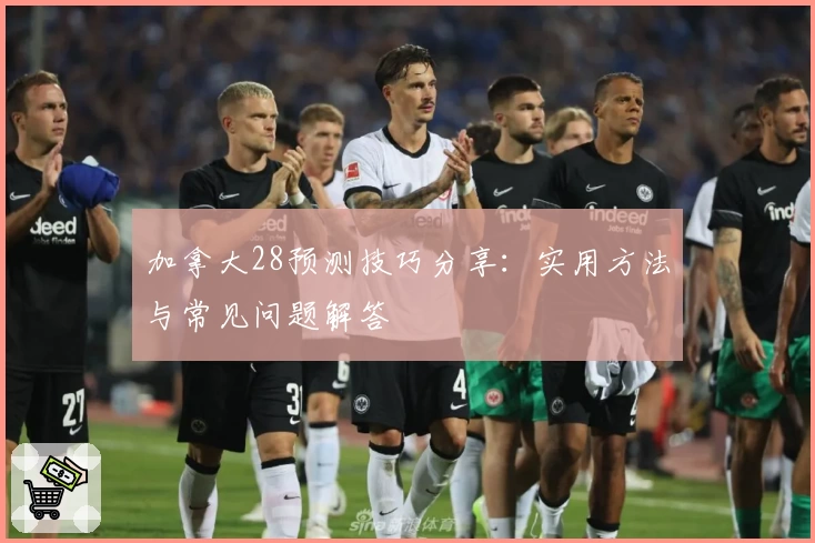 加拿大28预测技巧分享：实用方法与常见问题解答