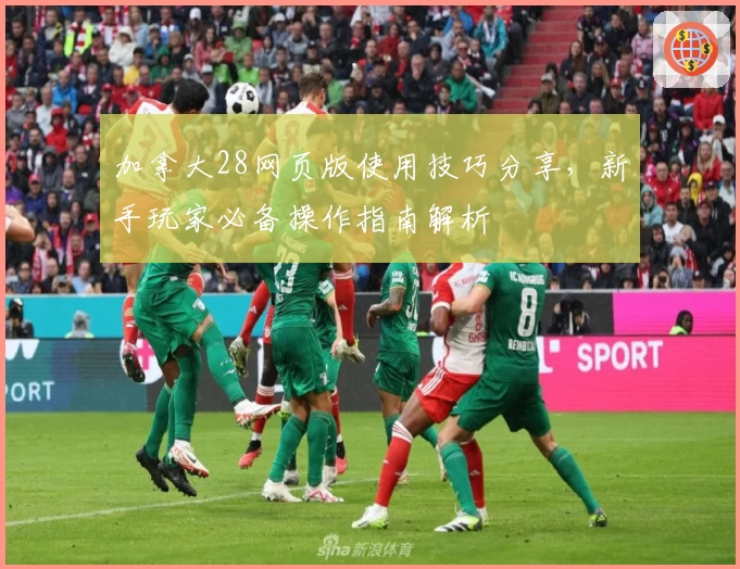 加拿大28网页版使用技巧分享，新手玩家必备操作指南解析